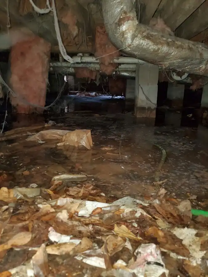 Crawl space flood assessment for Leak Detection & Repair in Snyder