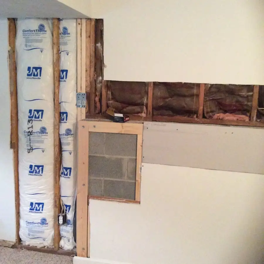 Wall insulation replacement during Odor Removal & Deodorization in Snyder